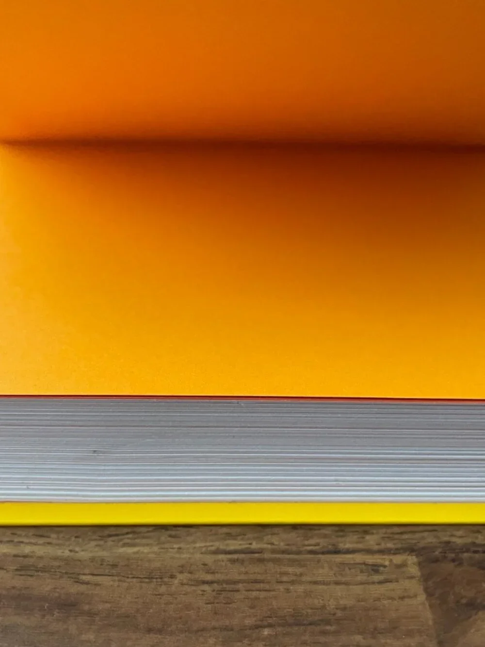 Do One Thing Every Day That Makes You Happy : A Journal